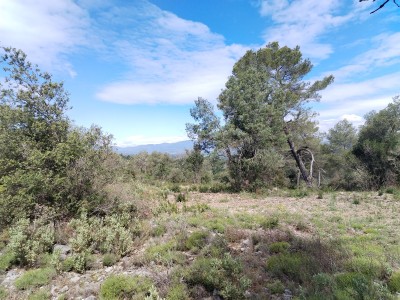 Superbe terrain - non constructible A VENDRE - MONTAUROUX - 300000€