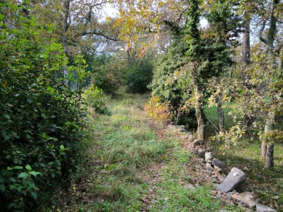 TERRAIN - FAYENCE - 6859 m2 - VENDU
