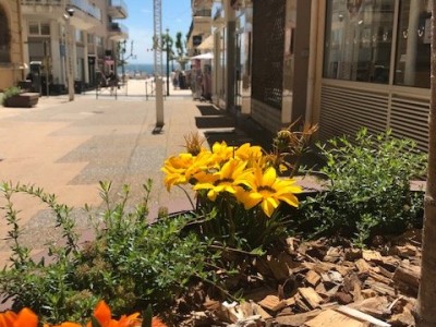 LOCAL COMMERCIAL A VENDRE - ST RAPHAEL Centre Ville - 134000€ 