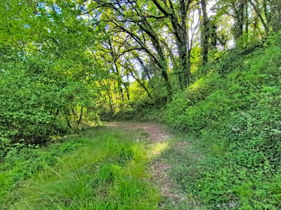 TERRAIN - ZONE NATURELLE -MAZET ET RIVIERE A VENDRE - TOURRETTES - 4000 m2 - 110 000 &euro;