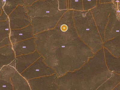 TERRAIN NON CONSTRUCTIBLE 11 HECTARES A VENDRE - CALLIAN - 110000 m2 - 100 000 €