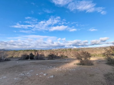 Terrain naturel de 5 hectares A VENDRE - CALLIAN - 89�000�&euro;