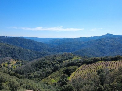 VILLA PLAIN-PIED 4 CHAMBRES /GARAGE /GRAND TERRAIN A VENDRE - TANNERON - 105 m2 - 652�000�&euro;