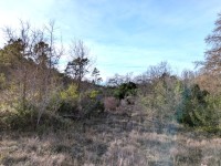 Terrain naturel de 5 hectares A VENDRE - CALLIAN - 70 000 &euro;